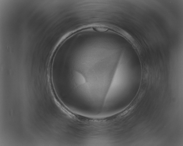 X0000053000958200507081230