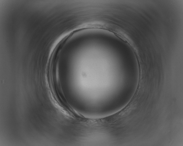 X0000053000960200507081230