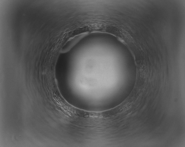 X0000053000961200507081229