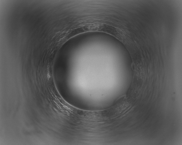 X0000053000962200507081229