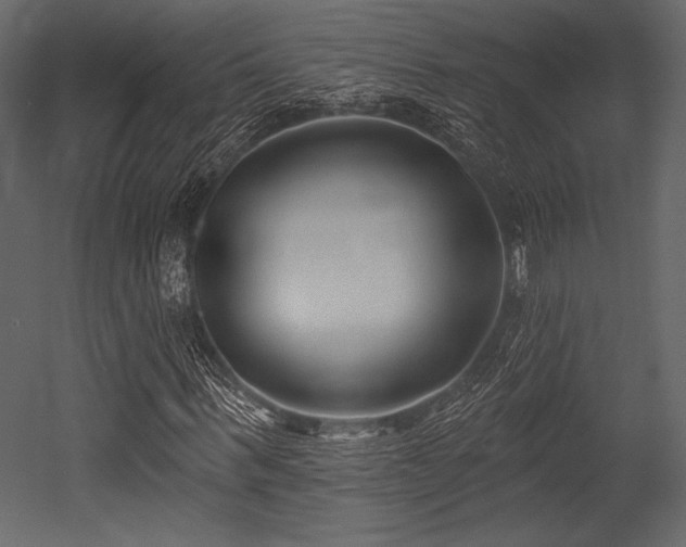 X0000053000963200507081229