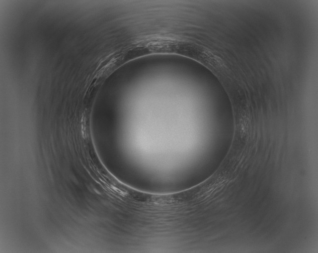 X0000053000964200507081229
