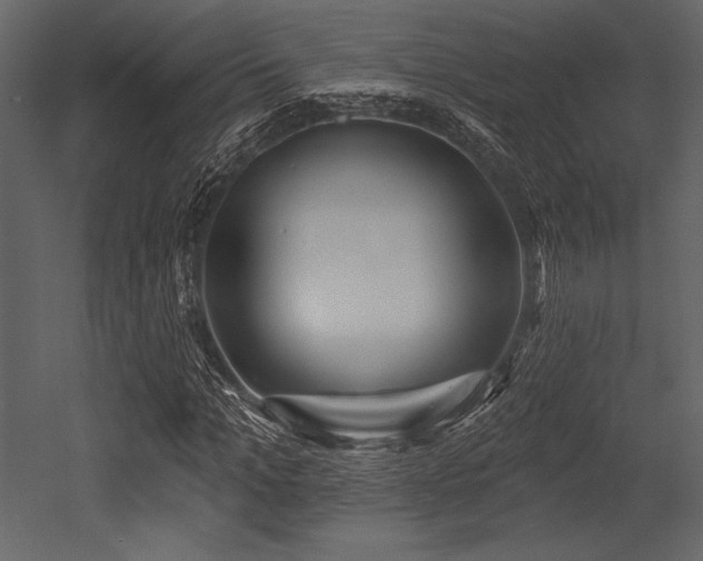 X0000053000965200507081229