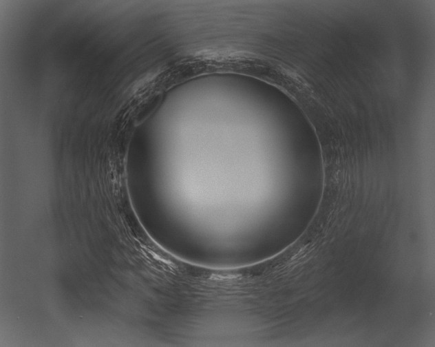 X0000053000966200507081229