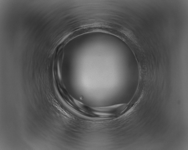 X0000053000969200507081229