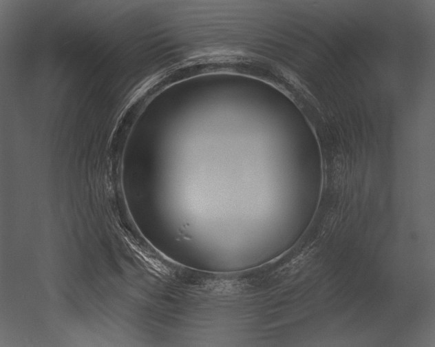 X0000053000970200507081229