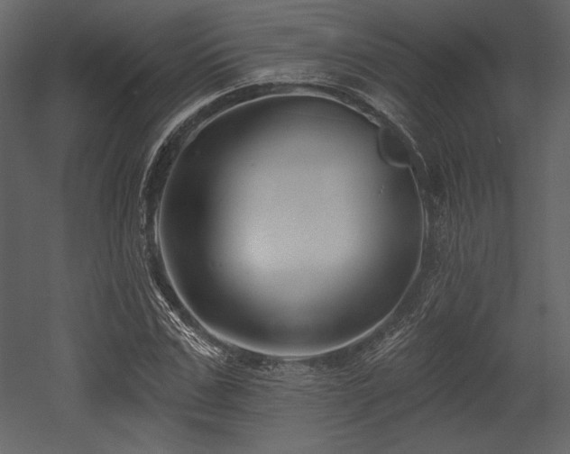 X0000053000971200507081229