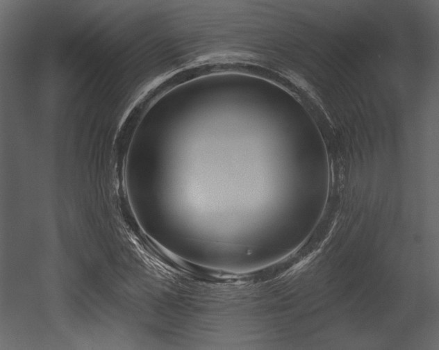 X0000053000973200507081229