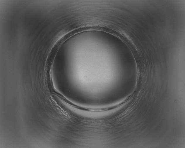 X0000053000975200507081229