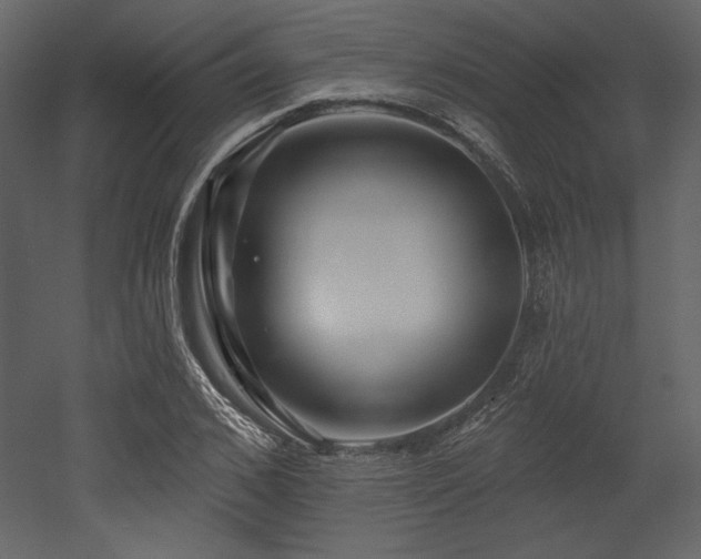 X0000053000976200507081229