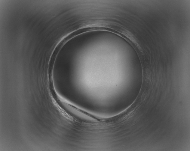 X0000053000980200507081229