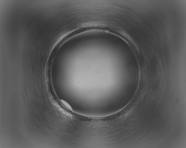 X0000053000983200507081229