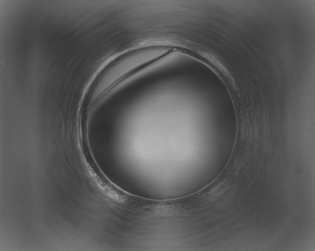X0000053000984200507081229