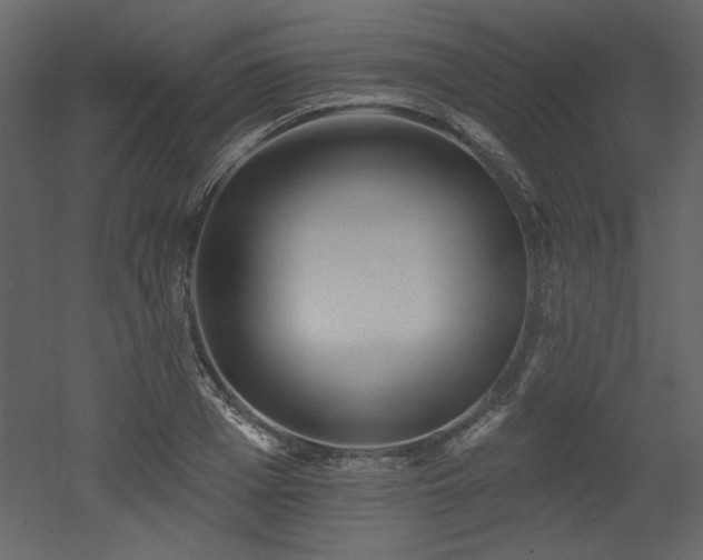 X0000053000985200507081229