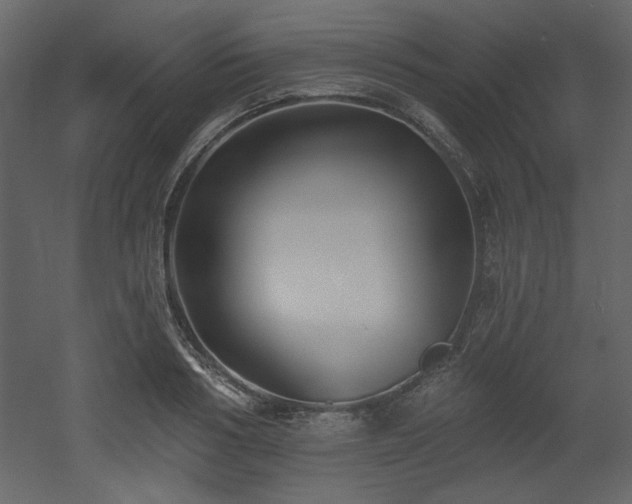 X0000053000986200507081229