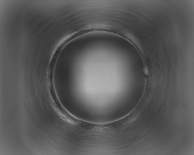 X0000053000987200507081229