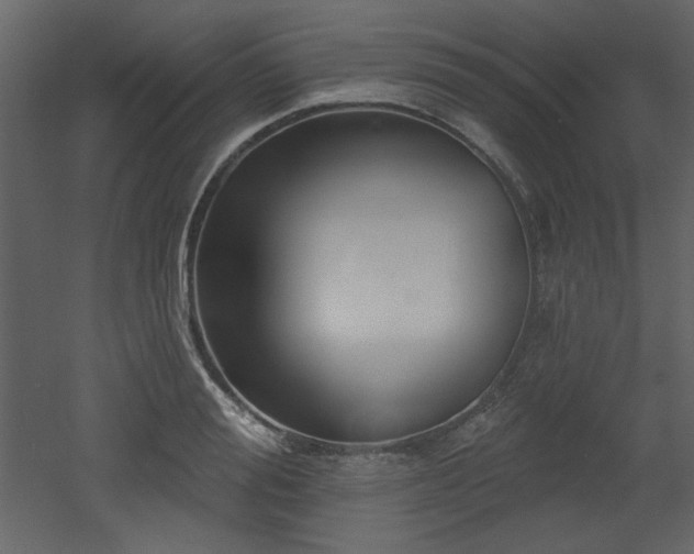 X0000053000988200507081229