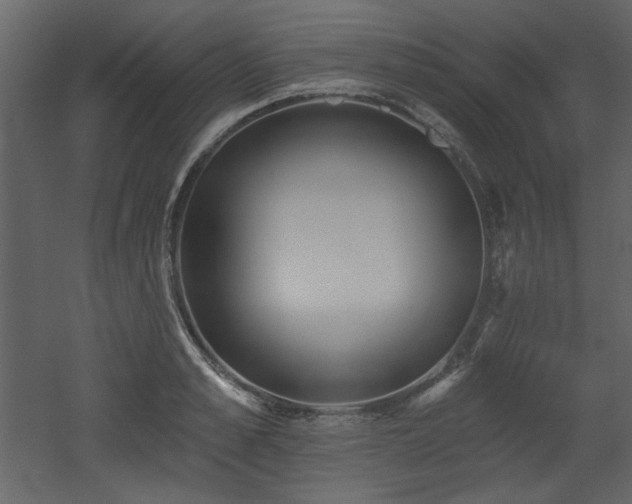X0000053000989200507081229