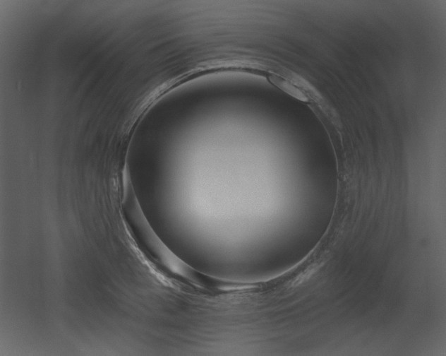 X0000053000993200507081228