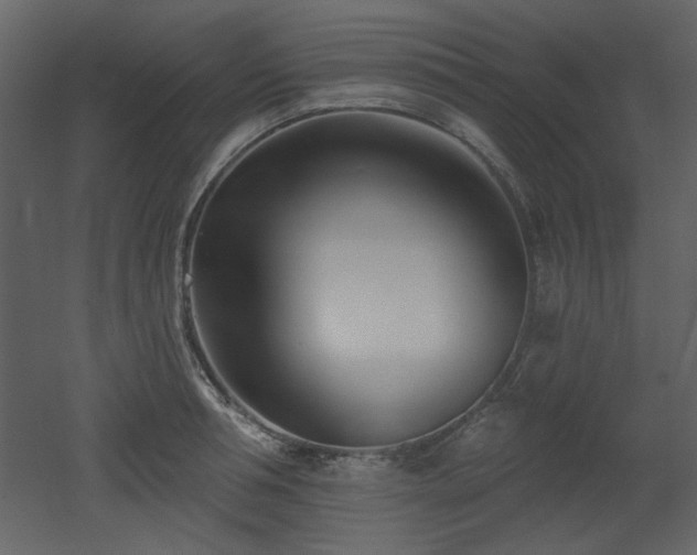 X0000053000994200507081228