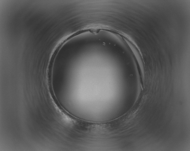 X0000053000995200507081228