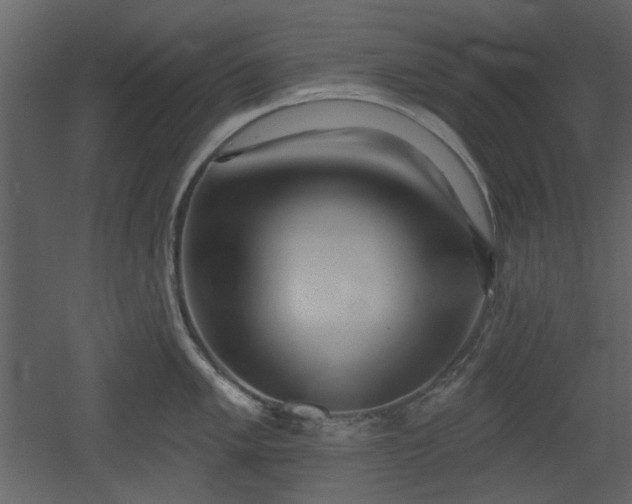 X0000053001005200507081228