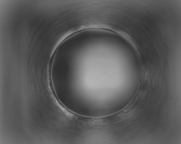 X0000053001006200507081228