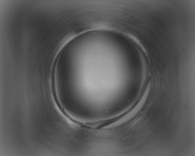 X0000053001007200507081228