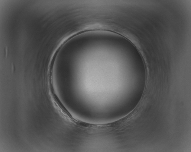 X0000053001008200507081228