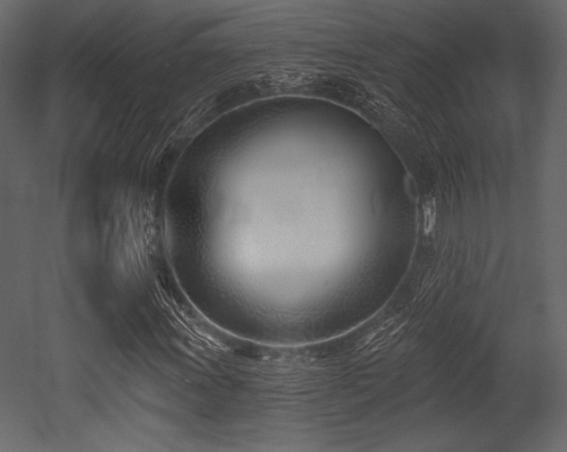X0000053001011200507081227