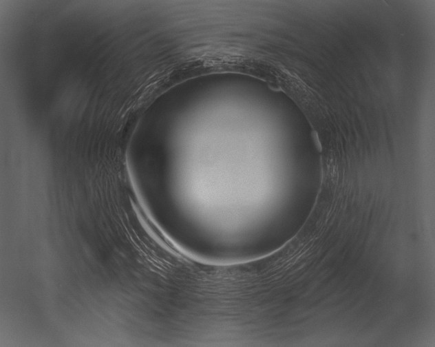 X0000053001012200507081227