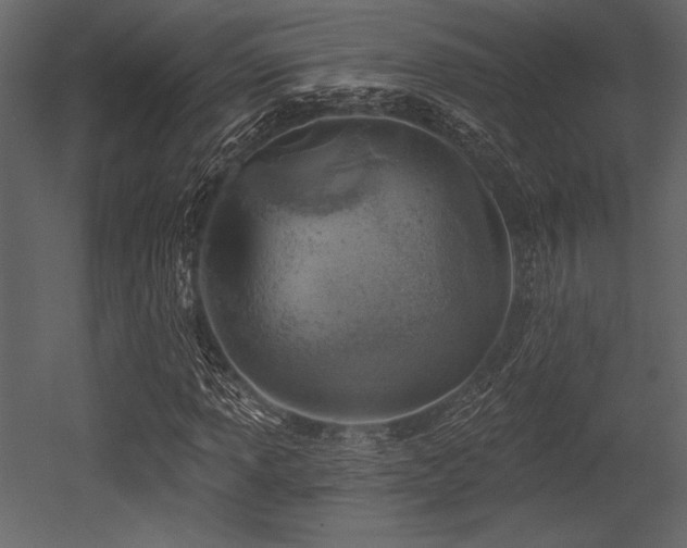 X0000053001013200507081227