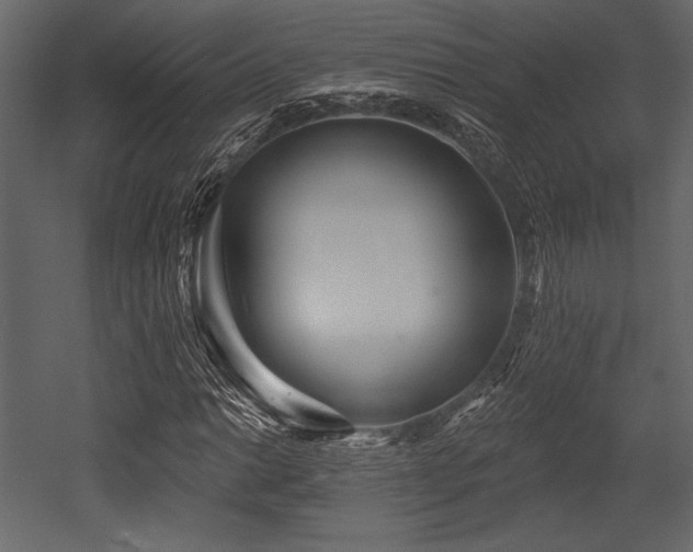 X0000053001014200507081228