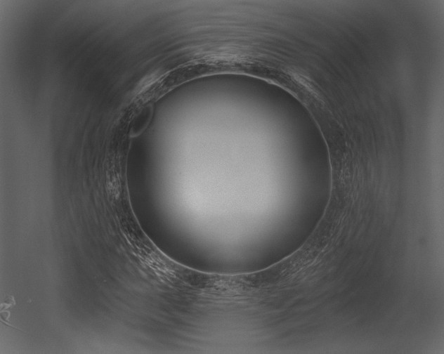 X0000053001015200507081228