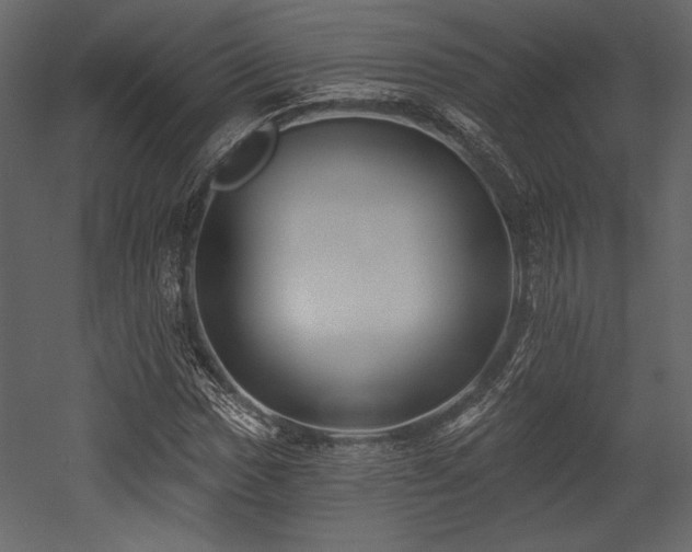 X0000053001017200507081228