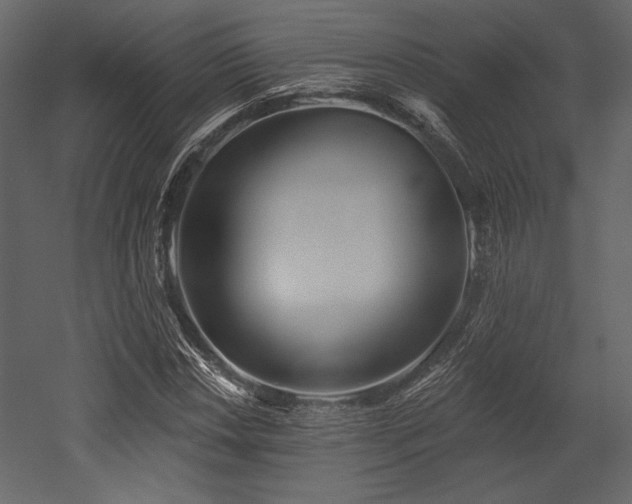 X0000053001018200507081228