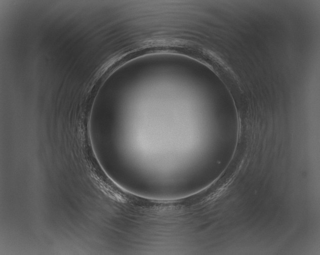 X0000053001025200507081228