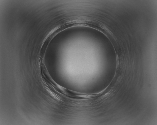 X0000053001026200507081228
