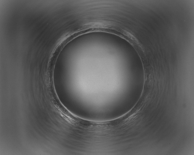 X0000053001027200507081228