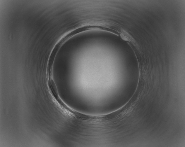X0000053001028200507081228
