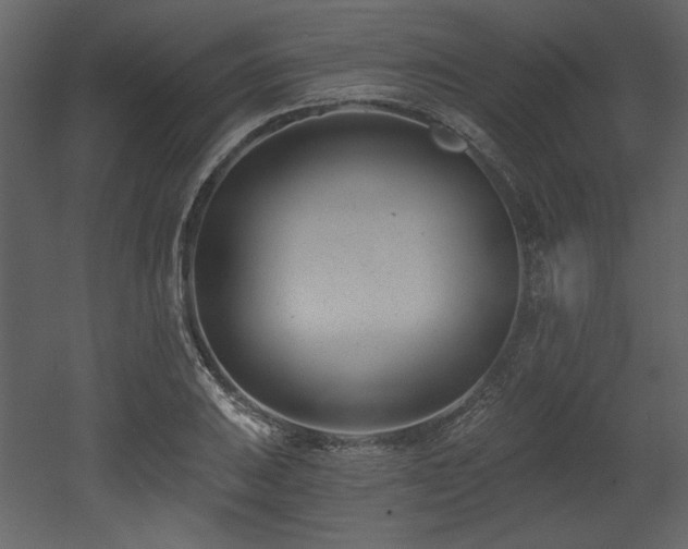 X0000053001031200507081228