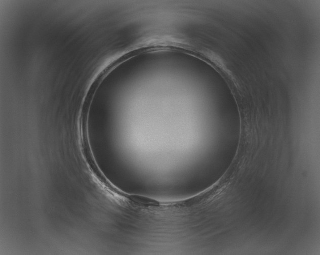 X0000053001032200507081228
