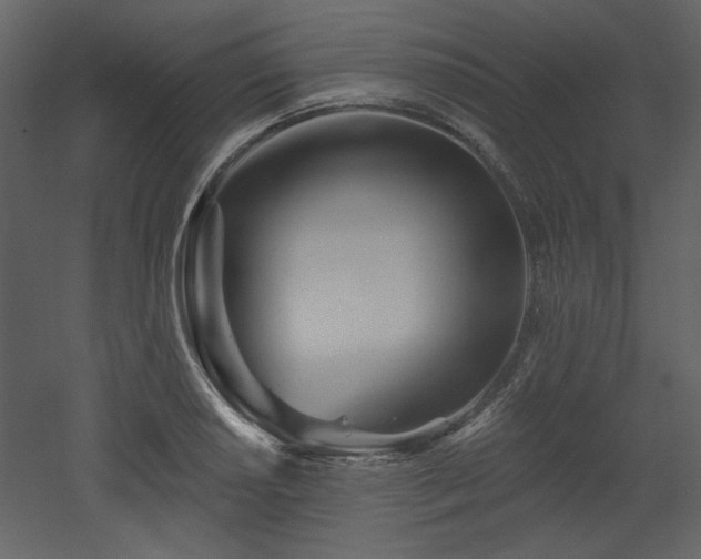 X0000053001034200507081228