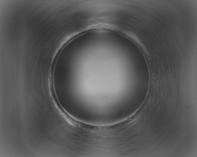 X0000053001040200507081228