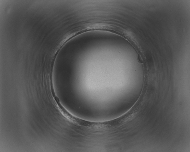 X0000053001041200507081228