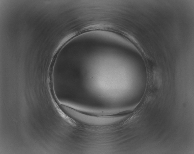 X0000053001042200507081228