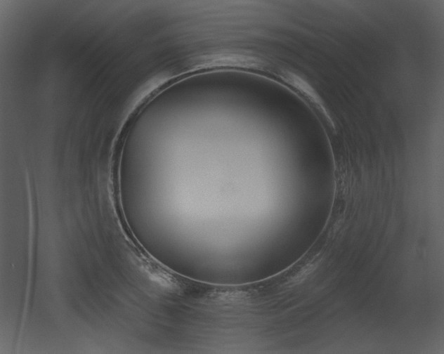 X0000053001043200507081228
