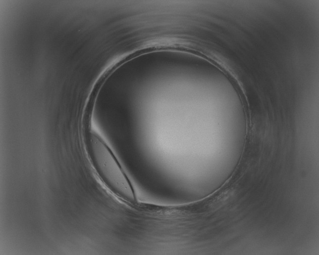X0000053001045200507081228