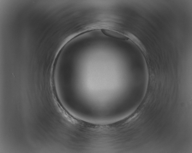 X0000053001052200507081228