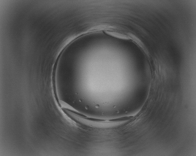 X0000053001055200507081228